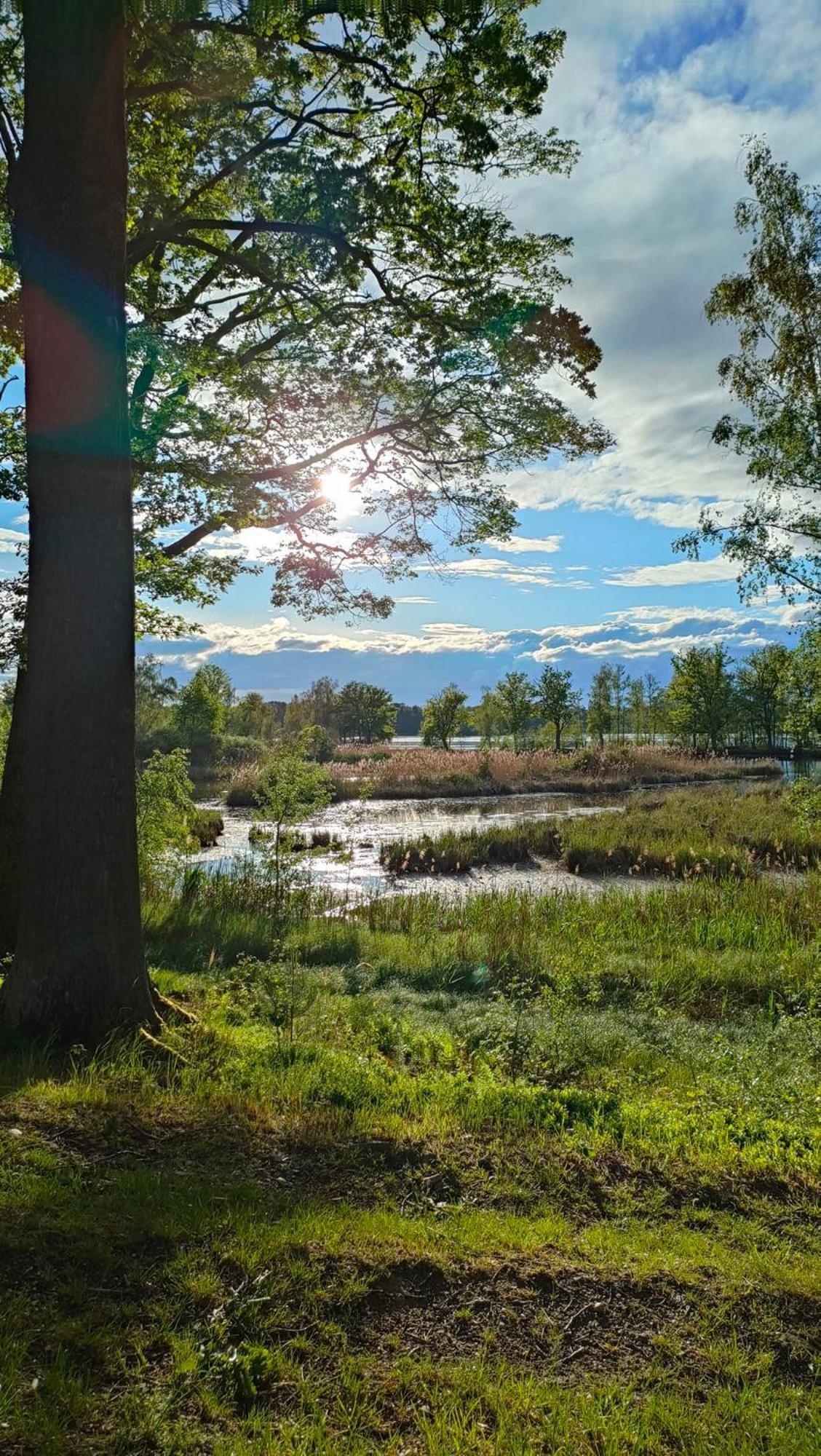 Rekreacni Chata Val Veselí nad Luznicí Exterior foto